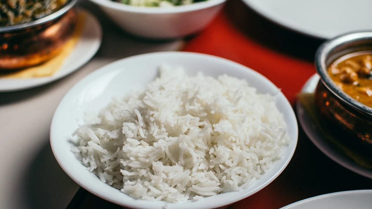 Bol de arroz; imagen ilustrativa del ingrediente, no de una dieta completa para perros