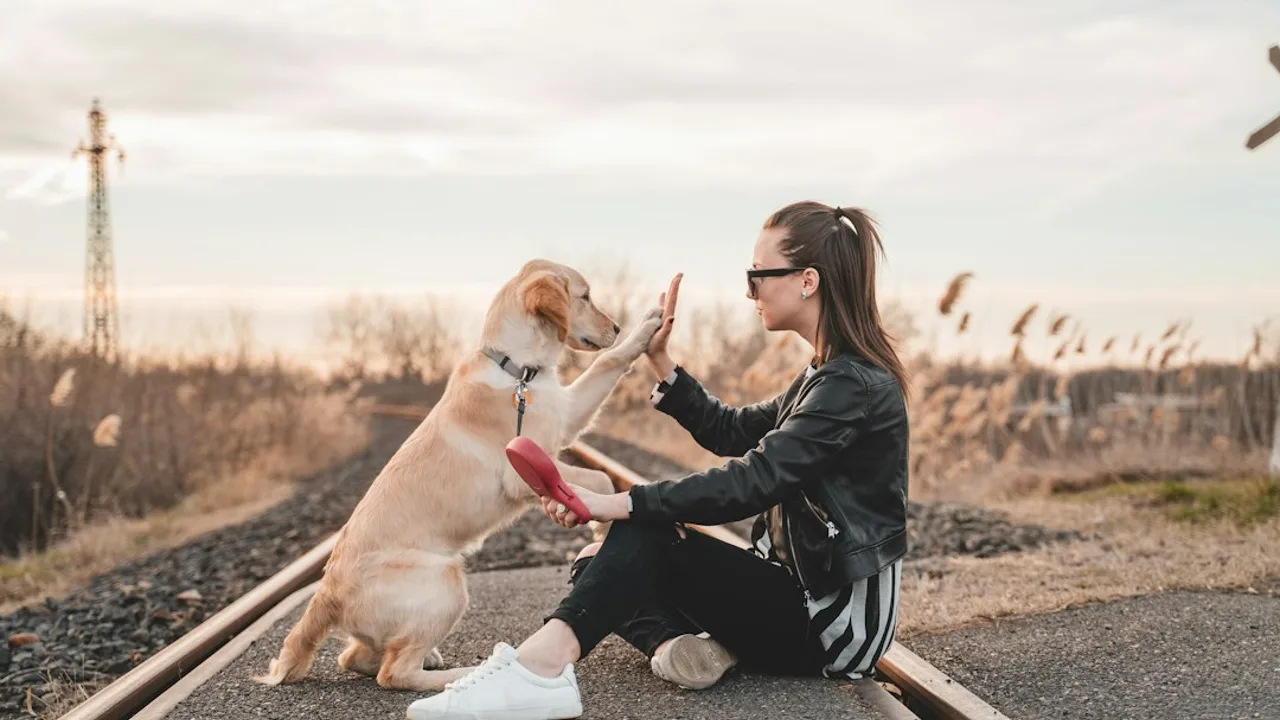 Fotografía ilustrativa de un perro