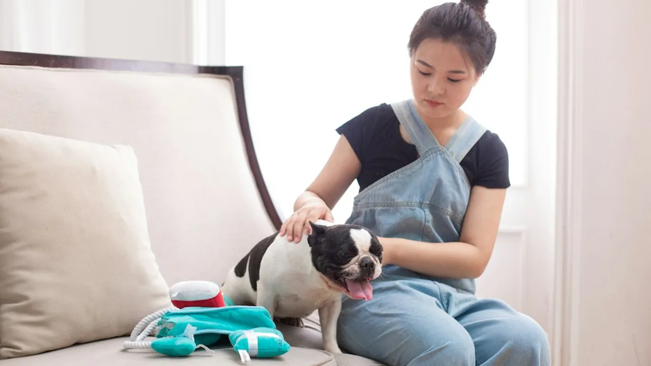 Fotografía ilustrativa de un perro