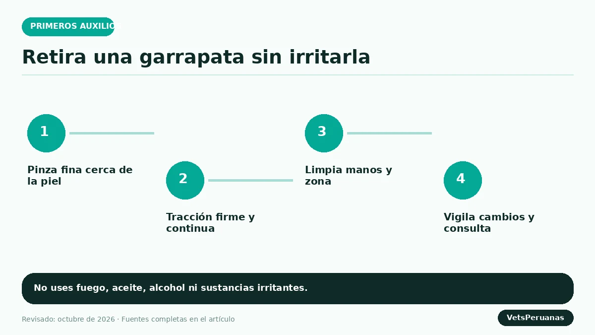 Gráfico editorial sobre Cómo quitar una garrapata a un perro paso a paso