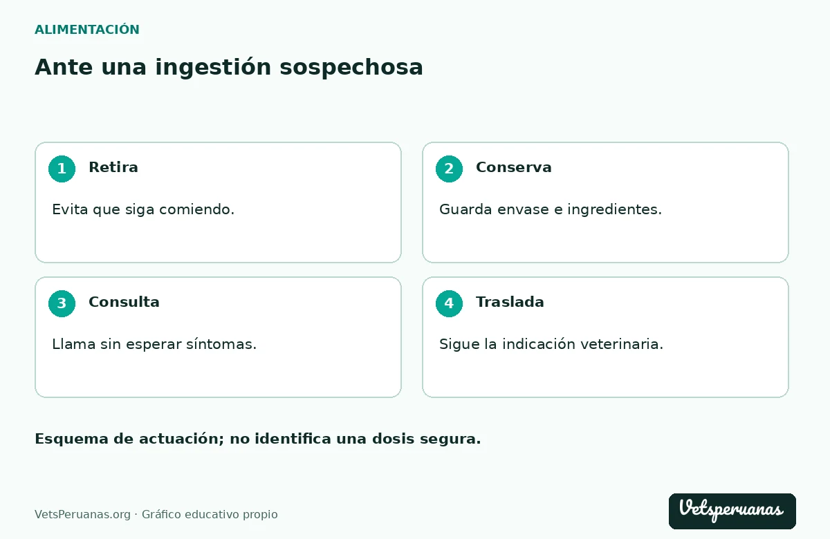 Ante una ingestión sospechosa: Retira — Evita que siga comiendo.. Conserva — Guarda envase e ingredientes.. Consulta — Llama sin esperar síntomas.. Traslada — Sigue la indicación veterinaria.
