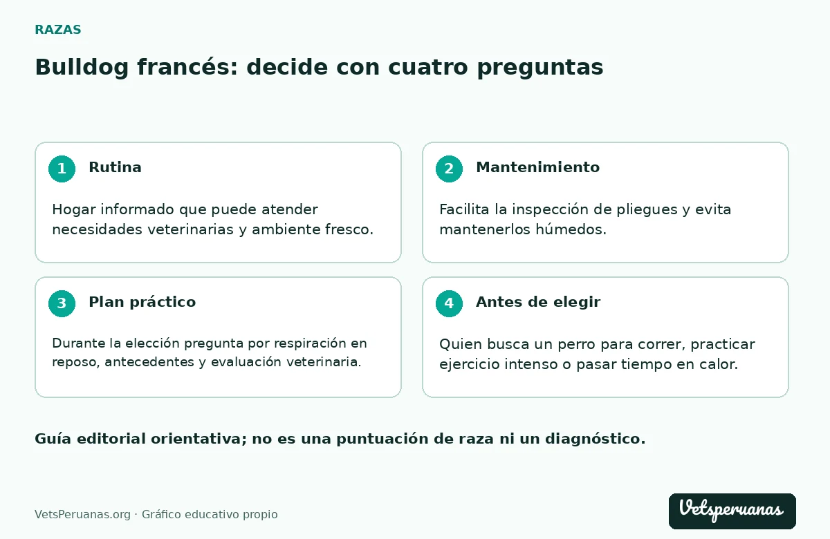 Bulldog francés: decide con cuatro preguntas: Rutina — Hogar informado que puede atender necesidades veterinarias y ambiente fresco.. Mantenimiento — Facilita la inspección de pliegues y evita mantenerlos húmedos. Si hay olor, enrojecimiento o molestias, pide un plan de cuidado en lugar de aplicar cosméticos para taparlos.. Plan práctico — Durante la elección pregunta por respiración en reposo, antecedentes y evaluación veterinaria. Un color raro o una cara muy chata no son razones para aceptar problemas funcionales.. Antes de elegir — Quien busca un perro para correr, practicar ejercicio intenso o pasar tiempo en calor.