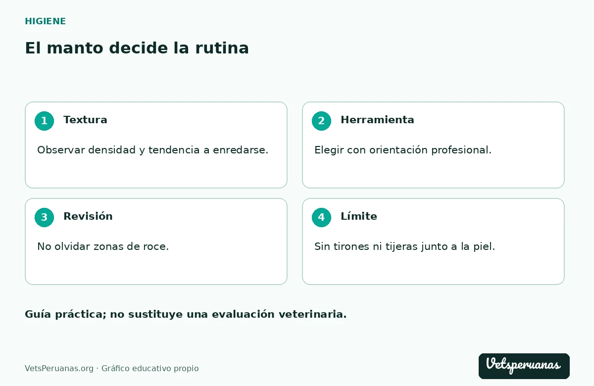 El manto decide la rutina: Textura — Observar densidad y tendencia a enredarse.. Herramienta — Elegir con orientación profesional.. Revisión — No olvidar zonas de roce.. Límite — Sin tirones ni tijeras junto a la piel.