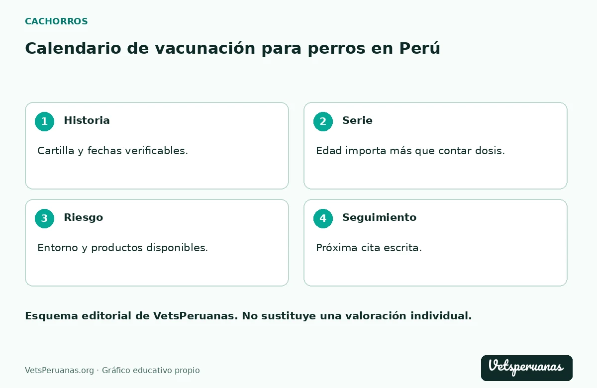 Calendario de vacunación para perros en Perú: Historia — Cartilla y fechas verificables.. Serie — Edad importa más que contar dosis.. Riesgo — Entorno y productos disponibles.. Seguimiento — Próxima cita escrita.