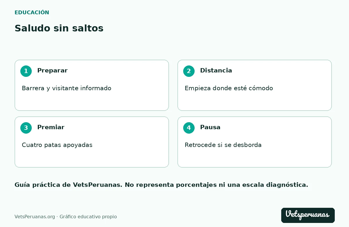 Saludo sin saltos: Preparar — Barrera y visitante informado. Distancia — Empieza donde esté cómodo. Premiar — Cuatro patas apoyadas. Pausa — Retrocede si se desborda