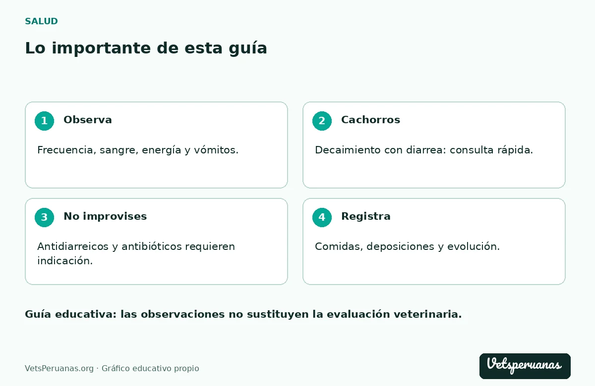 Lo importante de esta guía: Observa — Frecuencia, sangre, energía y vómitos.. Cachorros — Decaimiento con diarrea: consulta rápida.. No improvises — Antidiarreicos y antibióticos requieren indicación.. Registra — Comidas, deposiciones y evolución.