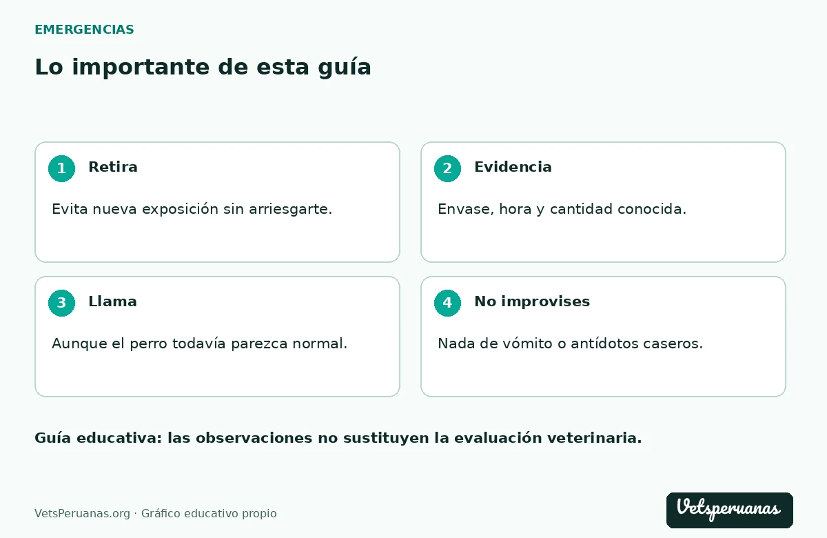 Lo importante de esta guía: Retira — Evita nueva exposición sin arriesgarte.. Evidencia — Envase, hora y cantidad conocida.. Llama — Aunque el perro todavía parezca normal.. No improvises — Nada de vómito o antídotos caseros.