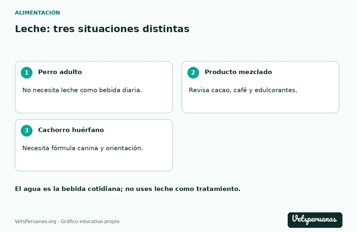 Leche: tres situaciones distintas: Perro adulto — No necesita leche como bebida diaria.. Producto mezclado — Revisa cacao, café y edulcorantes.. Cachorro huérfano — Necesita fórmula canina y orientación.