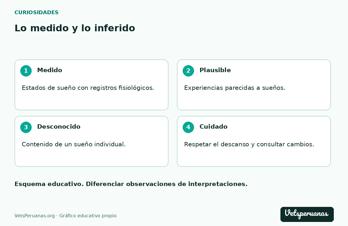 Lo medido y lo inferido: Medido — Estados de sueño con registros fisiológicos.. Plausible — Experiencias parecidas a sueños.. Desconocido — Contenido de un sueño individual.. Cuidado — Respetar el descanso y consultar cambios.