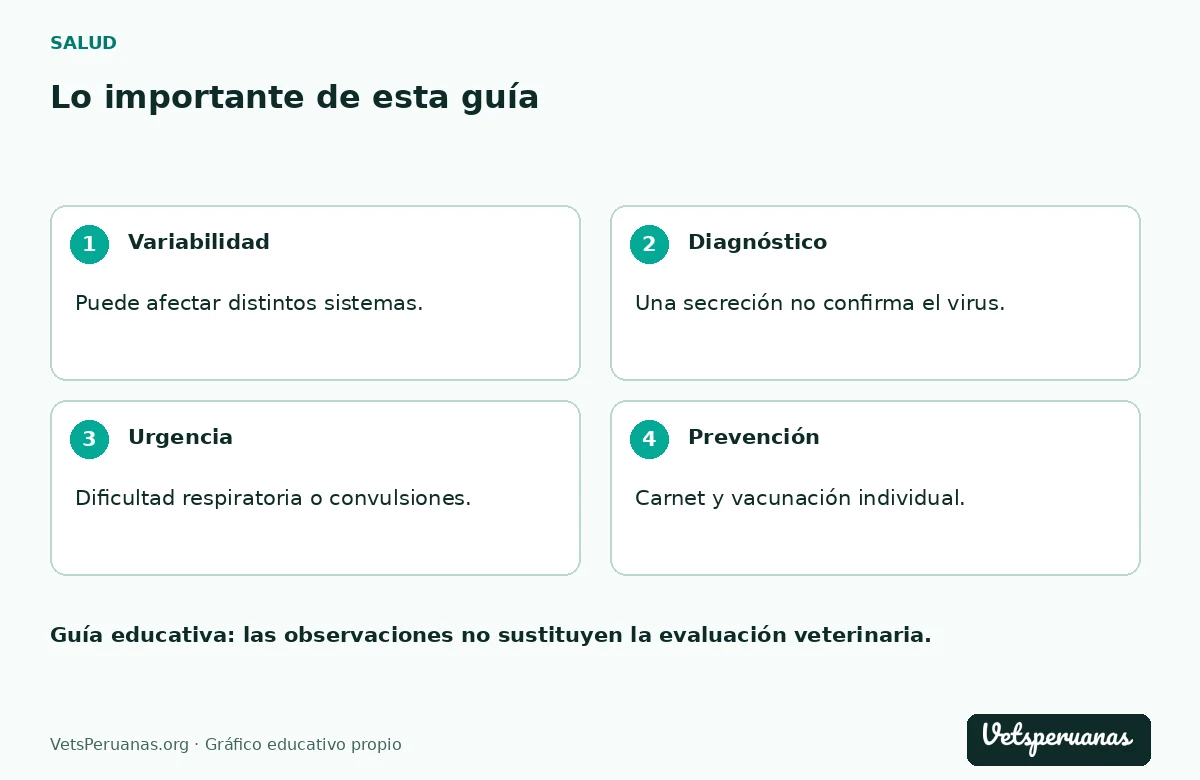 Lo importante de esta guía: Variabilidad — Puede afectar distintos sistemas.. Diagnóstico — Una secreción no confirma el virus.. Urgencia — Dificultad respiratoria o convulsiones.. Prevención — Carnet y vacunación individual.