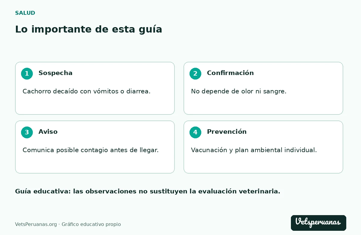 Lo importante de esta guía: Sospecha — Cachorro decaído con vómitos o diarrea.. Confirmación — No depende de olor ni sangre.. Aviso — Comunica posible contagio antes de llegar.. Prevención — Vacunación y plan ambiental individual.