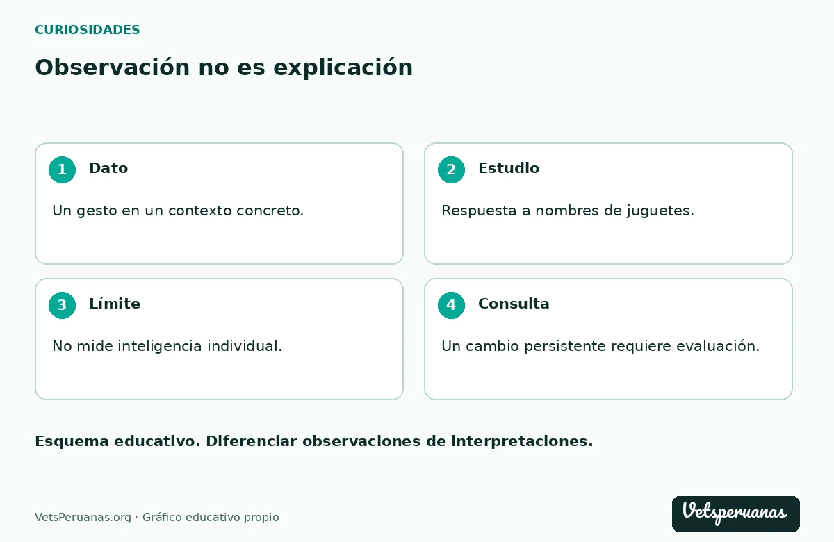 Observación no es explicación: Dato — Un gesto en un contexto concreto.. Estudio — Respuesta a nombres de juguetes.. Límite — No mide inteligencia individual.. Consulta — Un cambio persistente requiere evaluación.