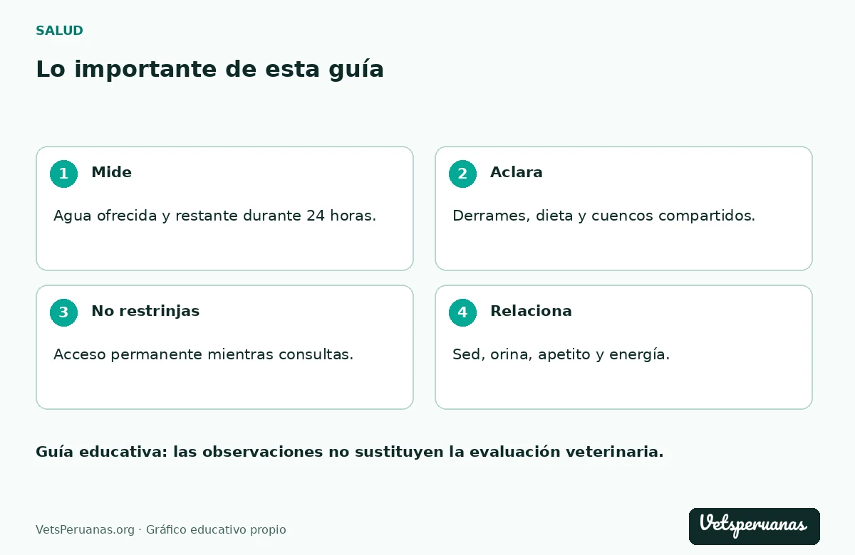 Lo importante de esta guía: Mide — Agua ofrecida y restante durante 24 horas.. Aclara — Derrames, dieta y cuencos compartidos.. No restrinjas — Acceso permanente mientras consultas.. Relaciona — Sed, orina, apetito y energía.