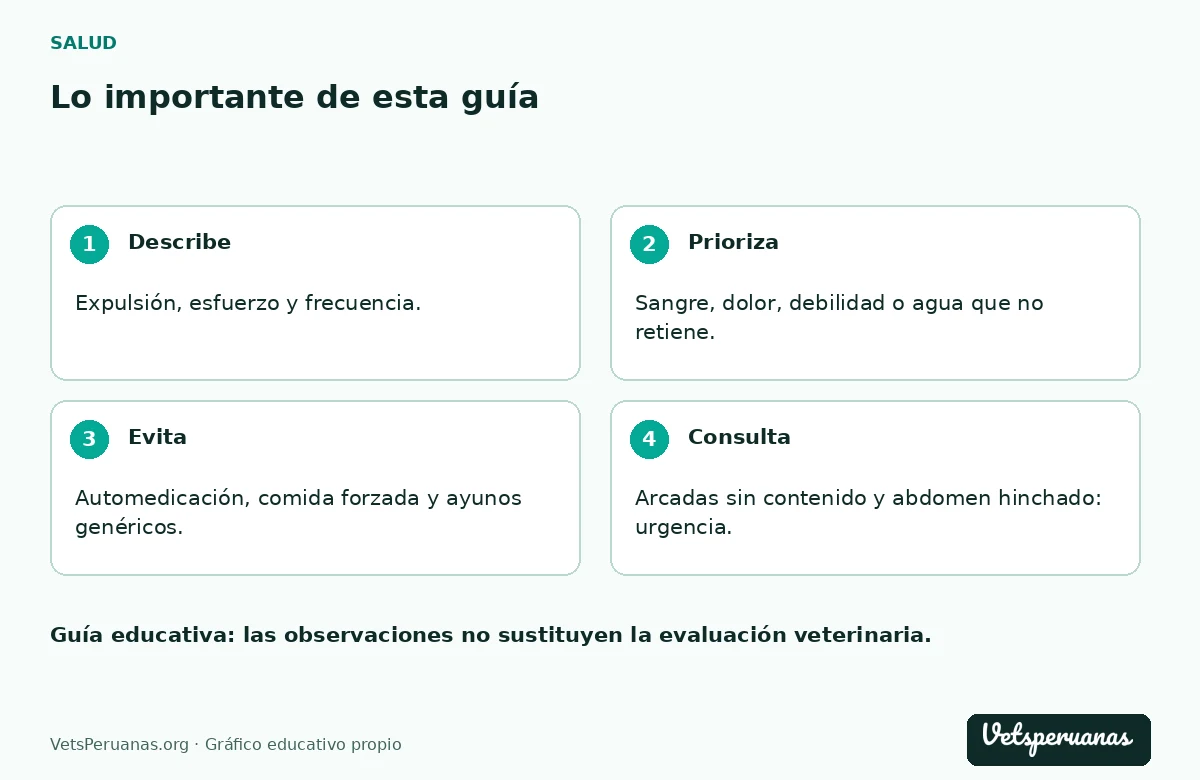 Lo importante de esta guía: Describe — Expulsión, esfuerzo y frecuencia.. Prioriza — Sangre, dolor, debilidad o agua que no retiene.. Evita — Automedicación, comida forzada y ayunos genéricos.. Consulta — Arcadas sin contenido y abdomen hinchado: urgencia.
