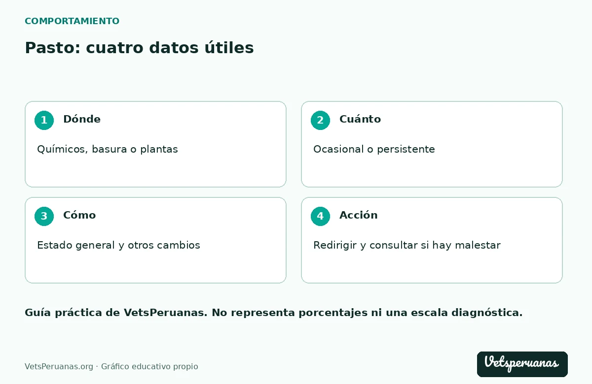 Pasto: cuatro datos útiles: Dónde — Químicos, basura o plantas. Cuánto — Ocasional o persistente. Cómo — Estado general y otros cambios. Acción — Redirigir y consultar si hay malestar
