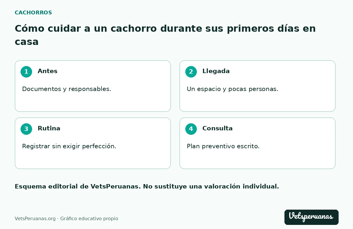 Cómo cuidar a un cachorro durante sus primeros días en casa: Antes — Documentos y responsables.. Llegada — Un espacio y pocas personas.. Rutina — Registrar sin exigir perfección.. Consulta — Plan preventivo escrito.