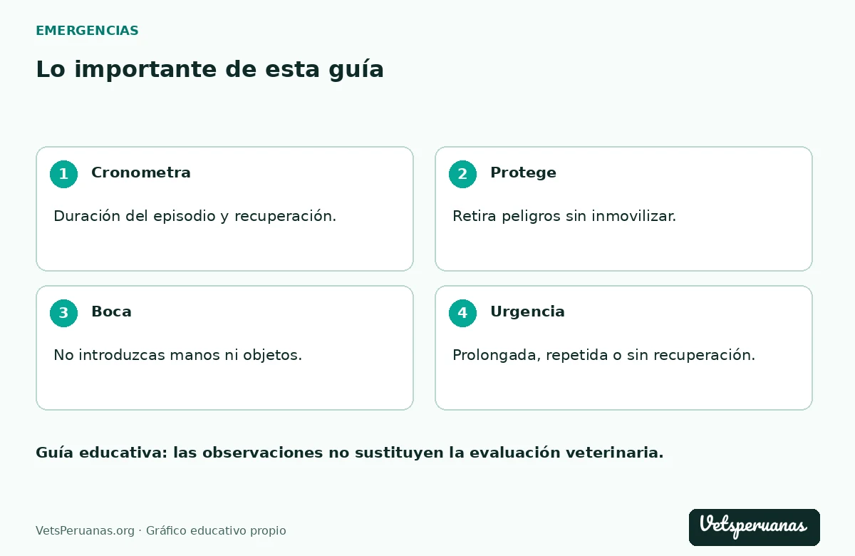 Lo importante de esta guía: Cronometra — Duración del episodio y recuperación.. Protege — Retira peligros sin inmovilizar.. Boca — No introduzcas manos ni objetos.. Urgencia — Prolongada, repetida o sin recuperación.