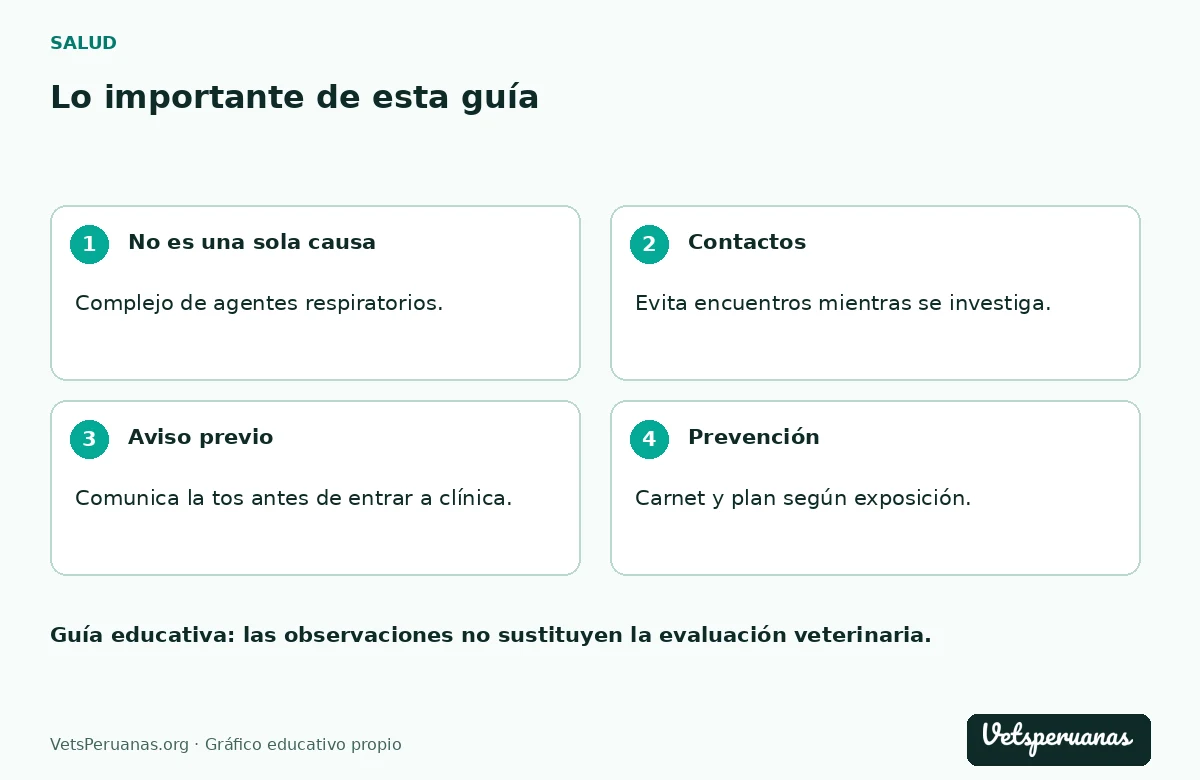 Lo importante de esta guía: No es una sola causa — Complejo de agentes respiratorios.. Contactos — Evita encuentros mientras se investiga.. Aviso previo — Comunica la tos antes de entrar a clínica.. Prevención — Carnet y plan según exposición.