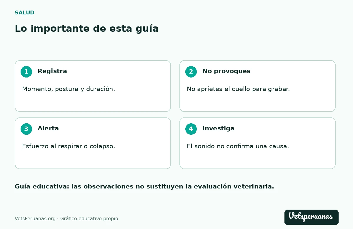 Lo importante de esta guía: Registra — Momento, postura y duración.. No provoques — No aprietes el cuello para grabar.. Alerta — Esfuerzo al respirar o colapso.. Investiga — El sonido no confirma una causa.