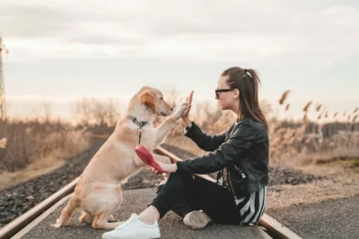 Fotografía ilustrativa de un perro