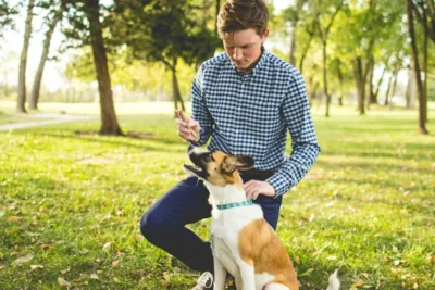 Fotografía ilustrativa de un perro