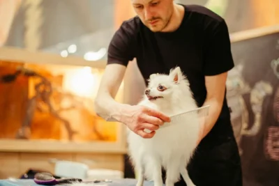 Fotografía ilustrativa de un perro
