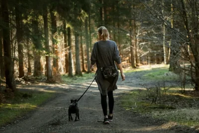 Fotografía ilustrativa de un perro