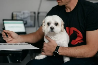 Fotografía ilustrativa de un perro